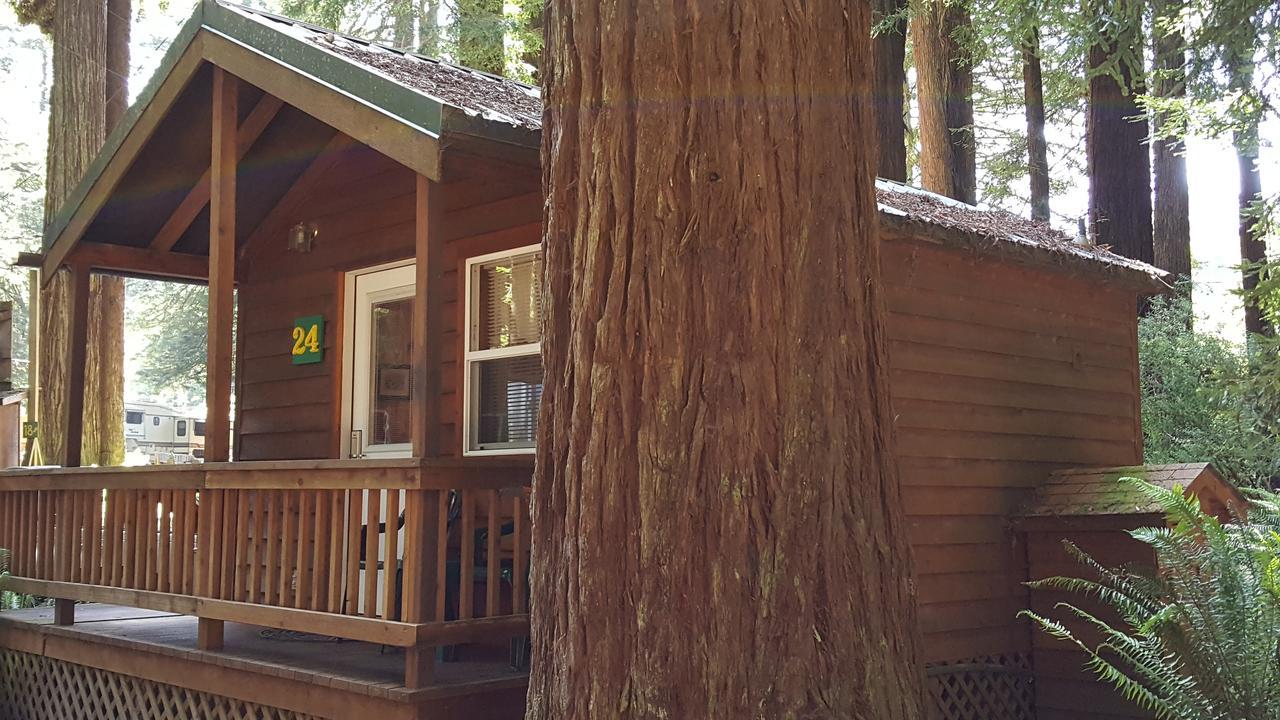 Emerald Forest Cabins Trinidad Exterior foto