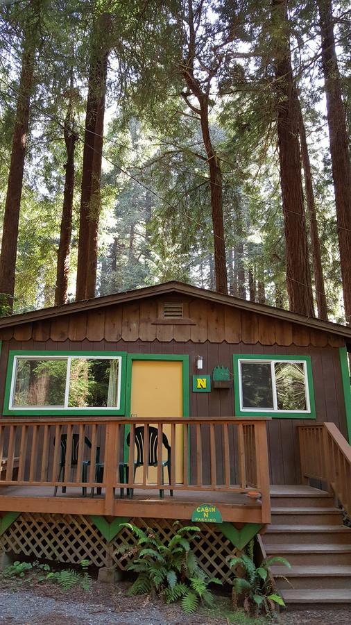 Emerald Forest Cabins Trinidad Zimmer foto