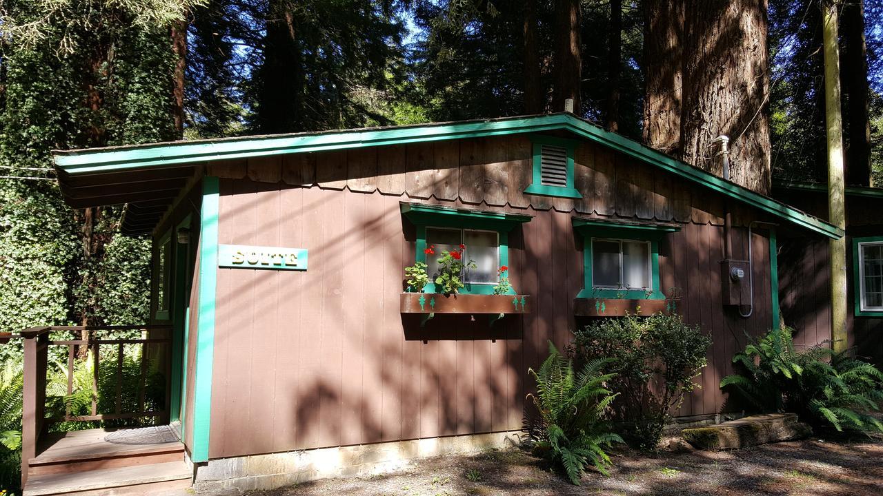 Emerald Forest Cabins Trinidad Zimmer foto